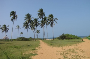 Sinquerim beach yacht cruise