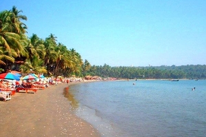 Coco beach speed boat