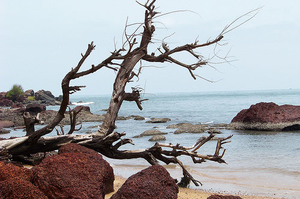 Betul beach speed boat